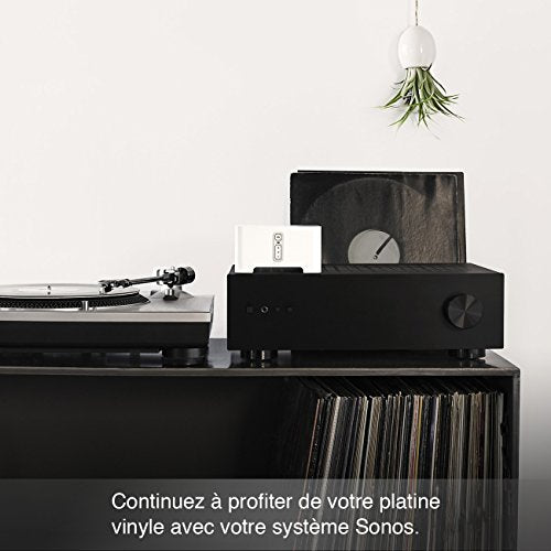 Sonos CONNECT Musikstreaming über WLAN für herkömmliches Audio-Equipment - EDV-Guru (Guru e.U.)